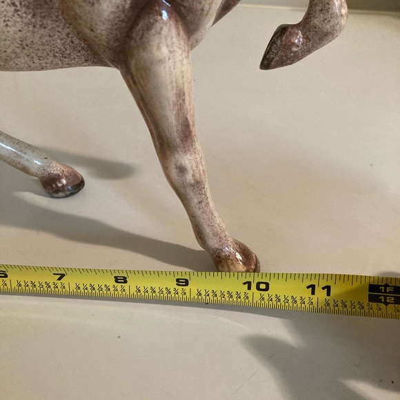 Horse 🐎 - Picture 3 of 5